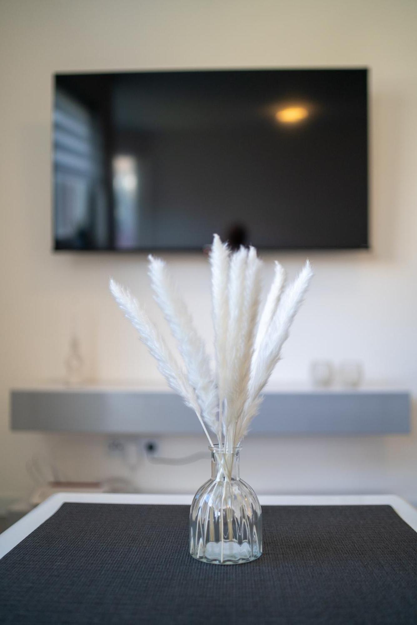 Designer Central Living Karlsruhe Wlan & Fire Tv Stick Exterior photo